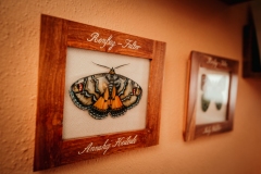 Bilder-1